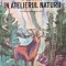 Priviri in atelierul naturii - 1982 - Ionel Pop (AC65)