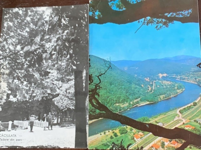 Carti postale Caciulata