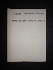 V. RANGA, I. TEODORESCU EXARCU - ANATOMIA SI FIZIOLOGIA OMULUI foto