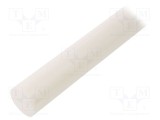 Tijă extrudată naturală &Oslash; 20mm L 500mm - MITSUBISHI CHEMICAL ADV. MATERIALS