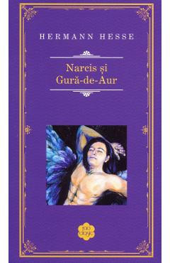 Narcis si Gura-de-Aur (Rao Clasic) - Hermann Hesse foto