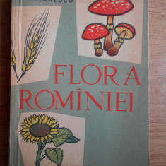 I. Simionescu - Flora Romîniei