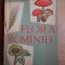 I. Simionescu - Flora Rom&icirc;niei