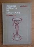 V. Miclăuș - Sistem nervos &icirc;n diagrame. Corelații