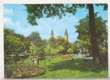 bnk cp Oradea - Vedere din parcul Petofi - necirculata - marca fixa