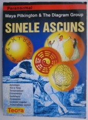 Sinele ascuns &ndash; Maya Pilkington, The Diagram Group