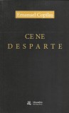 AS - COPILAS EMANUEL - CE NE DESPARTE