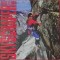 David Lee Roth &ndash; Skyscraper, LP, Europe, 1988, stare impecabila (NM)