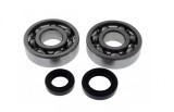 Kit Rulmenti Ambielaj si Simeringuri Scuter Daelim Tapo 20x52x12, 15.5x25.5x8 &amp; 20x31x7 TMMP