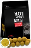 Haldorado - Boilies-uri Max Motion Boilie Long Life 20mm, 800g - Champion corn (porumb)