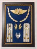 PANOU CU SET COMPLET DE EPOLETI, PETLITE, COIFURA COLONEL AVIATIE,1980, IM 1.144