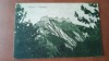 Carte postala Rasnov cetate, perioada interbelica