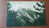 Carte postala Rasnov cetate, perioada interbelica