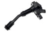 Bobina inductie Ford Focus 3 1.5 2014-, C-Max 2 1.5 2015-, Kuga 2 1.5 2014-, NTY ECZ-FR-024