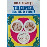 Treimea cea de-o fiinta - 1991 - Ioan Neamtu (N311)
