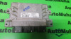 Calculator ecu Renault Clio 3 (2005-2008) 8200454467, Array