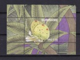 SURINAM 2020 FAUNA INSECTE FLUTURI