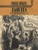 David Copperfield, Volumul I