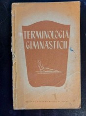 Terminologia gimnasticii