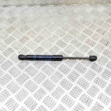 Amortizor capota dreapta față BMW 3 F30, F80 2018 OEM: 7239233 13536374