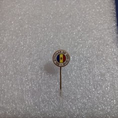 Insigna Colectionar de insigne