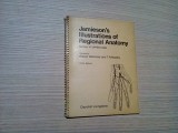 JAMIESON`S ILLUSTRATIONS OF REGIONAL ANATOMY - R. Waimsley - 1972, planse color, Alta editura