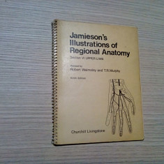 JAMIESON`S ILLUSTRATIONS OF REGIONAL ANATOMY - R. Waimsley - 1972, planse color