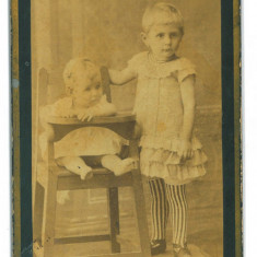 1403 - LUGOJ, Timis, Children, Romania CDV ( 10,9/6,9 cm ) - old Real Photo