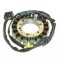 Stator Generator Honda CBR900RR 929 (SC44) Fireblade 2000-2001
