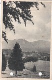AMS - ILUSTRATA 1301, POIANA BRASOV, ANUL 1949, cu perforari