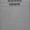 SUSTINERI MINIERE-N. LETU, D. CARPENISEANU-231130