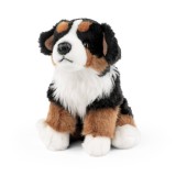 Catelus Saint Bernard de plus 20 cm (sezut) , Living Nature