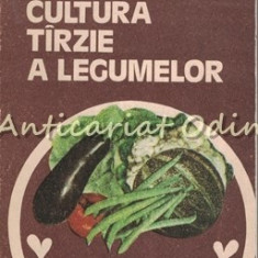 Cultura Tirzie A Legumelor - Voinea Marin