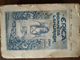 Cumpara ieftin Erica domnita lanurilor ( roman in fascicole )