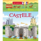 Prima mea carte despre castele - Abigail Wheatley