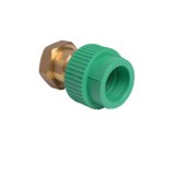 SEMIOLANDEZ PPR VERDE 25-3 4 HR