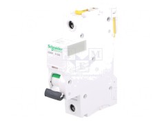 &Icirc;ntrerupător Supracurent 230V 10A 1P D