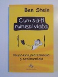 CUM SA-TI RUINEZI VIATA FINANCIARA, PROFESIONALA SI SENTIMENTALA de BEN STEIN 2003