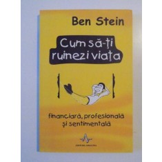 CUM SA-TI RUINEZI VIATA FINANCIARA, PROFESIONALA SI SENTIMENTALA de BEN STEIN 2003