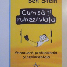 CUM SA-TI RUINEZI VIATA FINANCIARA, PROFESIONALA SI SENTIMENTALA de BEN STEIN 2003