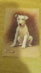 M2 R9 1 - Carte postala foarte veche - Arta - Tematica pictura