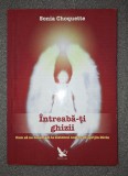Sonia Choquette - Intreaba-ti ghizii