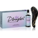 Dtangler We Care For Your Hair Set set cadou pentru păr DeLuxe 2 buc
