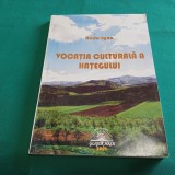 VOCAȚIA CULTURALĂ A HAȚEGULUI / RADU IUGA / 2009 *15