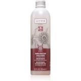 Kemon Group Shampoo Protezione șampon pentru protecția culorii 250 ml