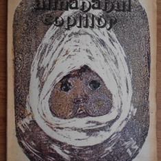 Almanahul copiilor 1981