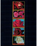 Ajman 1972 - Trandafiri (II), flori, serie dantelata neuzata