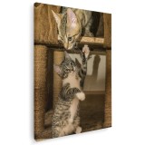 Tablou pisicute jucandu-se Tablou canvas pe panza CU RAMA 30x40 cm