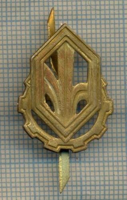 Y 1708 INSIGNA - MILITARA -SEMN DE ARMA - CHIMIC -PENTRU COLECTIONARI foto