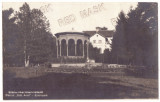 2899 - SIBIU, Park, Romania - old postcard, real Photo - used - 1929, Circulata, Printata